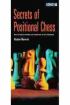 http://myshop.s3-external-3.amazonaws.com/shop2176300.pictures.Secrets of Positional Chess.jpg